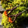 Boucles doreilles celtique macrame cornaline marron